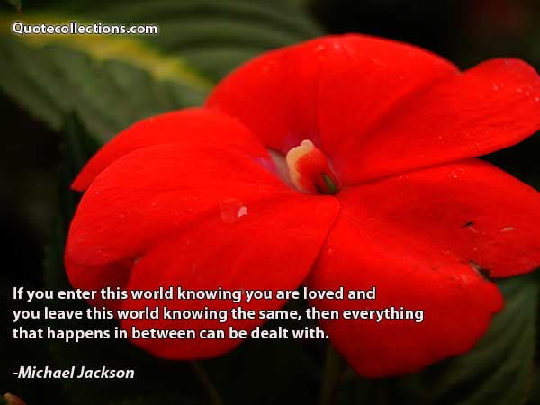 Michael Jackson Quotes5